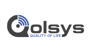 Qolosys logo